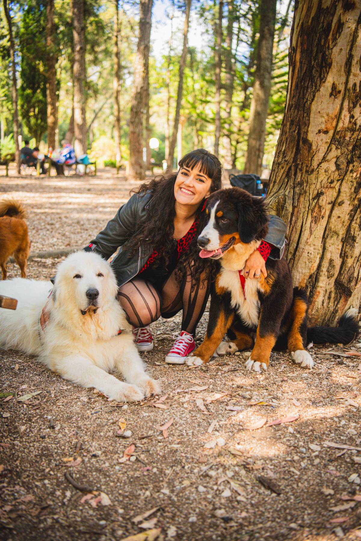 Amigos do Chewie Petsitting - Daniela - Sintra - Pet Sitting