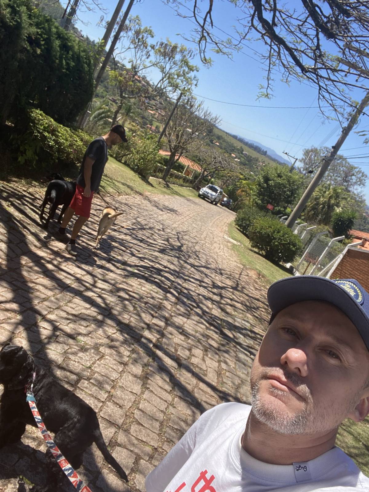 Guto Romano - Braga - Dog Sitting