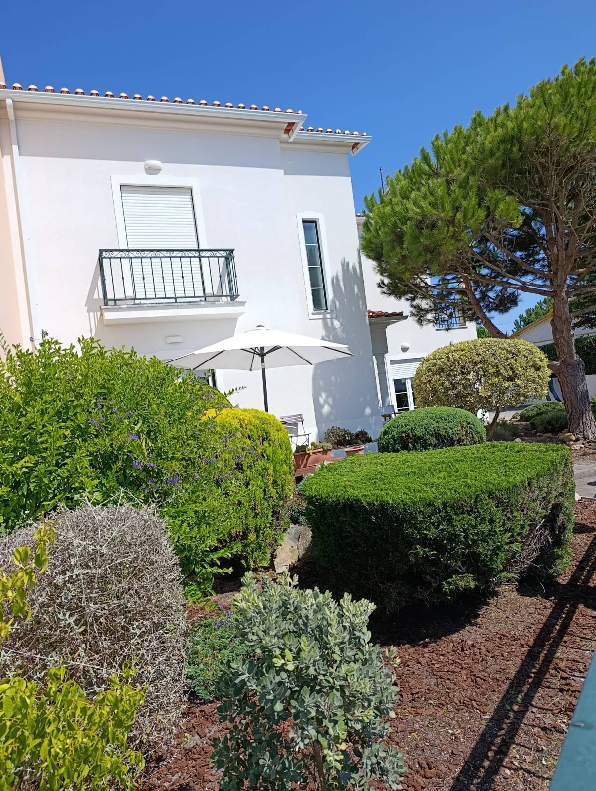 S&F Jardinagem 🌱🌿 - Torres Vedras - Servicios de invernadero