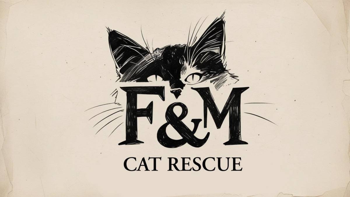 F&M CAT RESCUE - Sintra - Haustierpflege