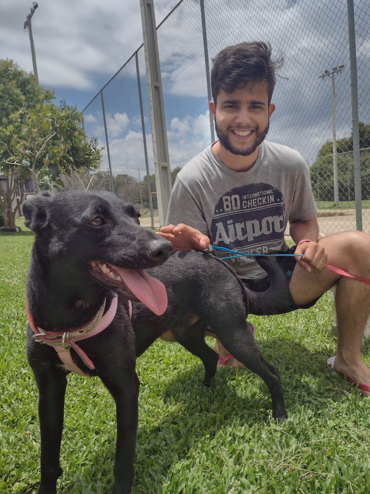 Wesley Dalpra - Almada - Katzensitter