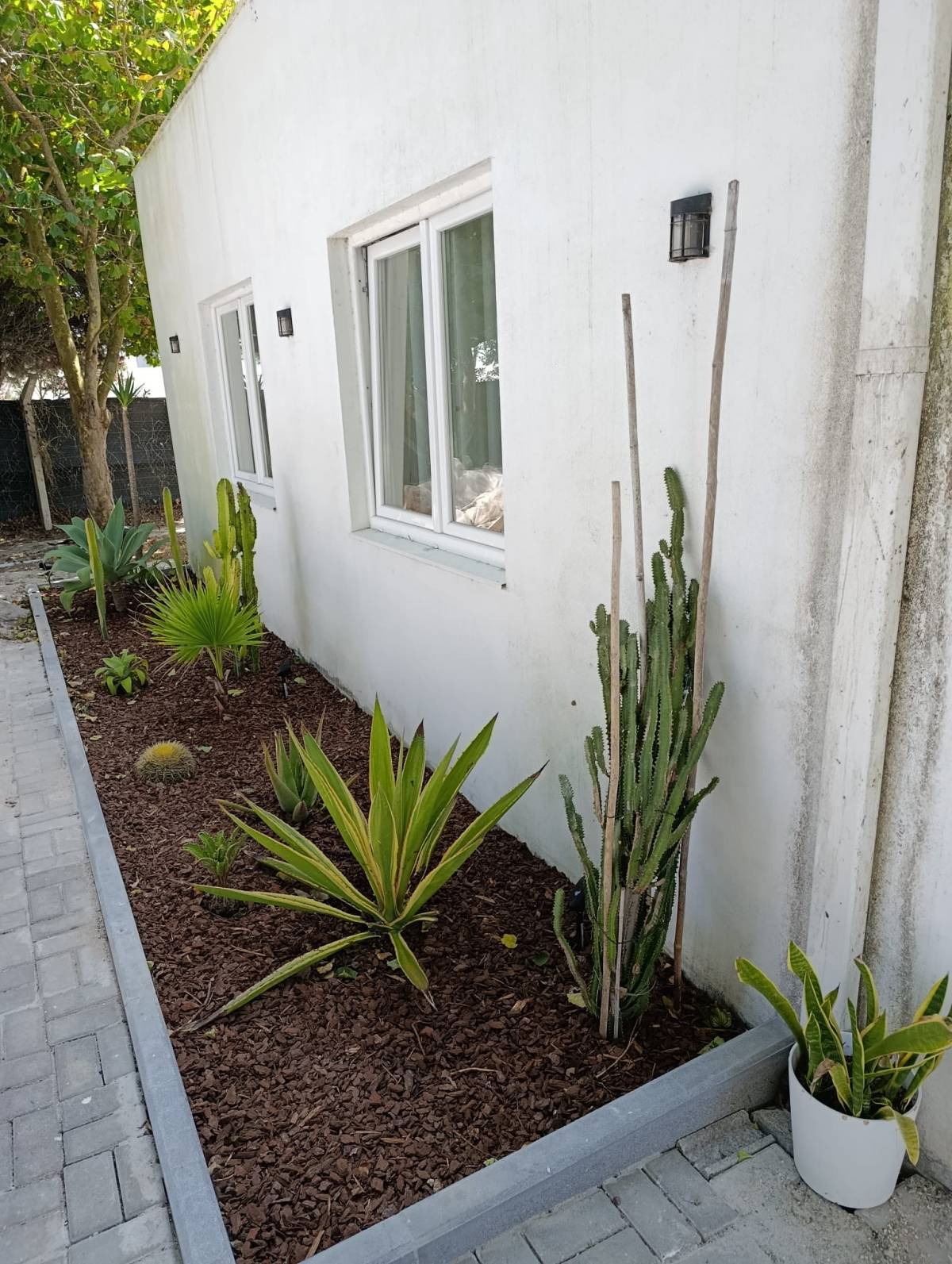 S&F Jardinagem 🌱🌿 - Torres Vedras - Instalación de césped artificial