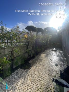 Raphael Giunco - Sintra - Shrub Removal