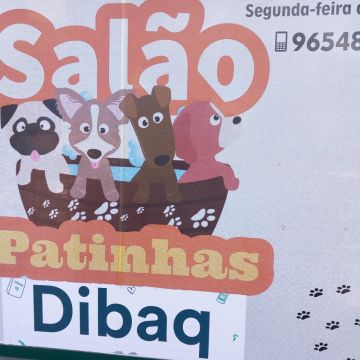 Anabela - Sintra - Pet Sitting and Walking