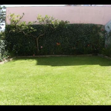 Dom Jardinagem - Loures - Tratamento de Relvado