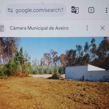 Francisco - Vila Nova de Famalicão - Remoção de Arbustos