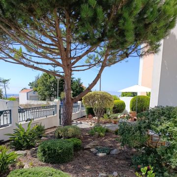 S&F Jardinagem 🌱🌿 - Torres Vedras - Instalación de sistemas de riego por goteo