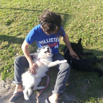 Wesley Dalpra - Almada - Hundesitter