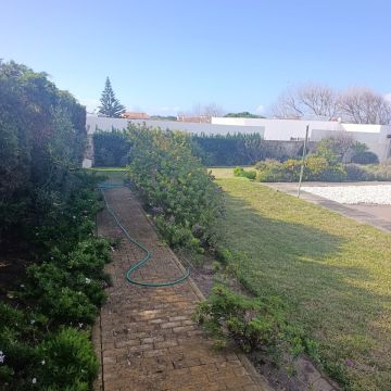 S&F Jardinagem 🌱🌿 - Torres Vedras - Instalación de césped