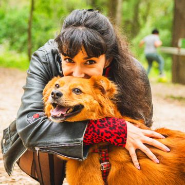 Amigos do Chewie Petsitting - Daniela - Sintra - Haustierbetreuung