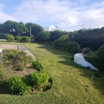 S&F Jardinagem 🌱🌿 - Torres Vedras - Multiservicios de cuidados del césped