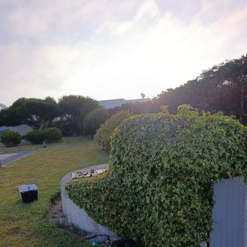 S&F Jardinagem 🌱🌿 - Torres Vedras - Jardinería