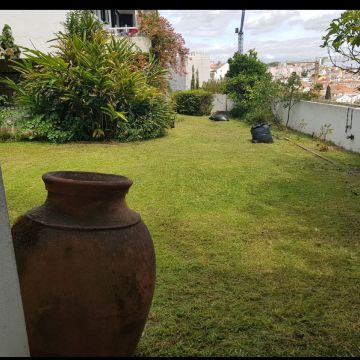 Dom Jardinagem - Loures - Remoção de Tronco de Árvore