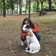 Raquel Meira - Porto - Creche para Cães