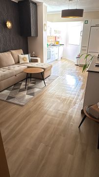 BarrosCleaning - Lagoa - Cleaning Out