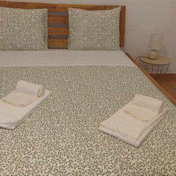 Isa - Silves - Property Cleanup