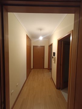 Interior Painter