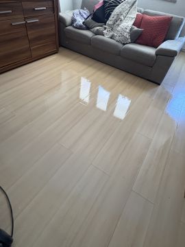 BarrosCleaning - Lagoa - Deep or Spring Cleaning