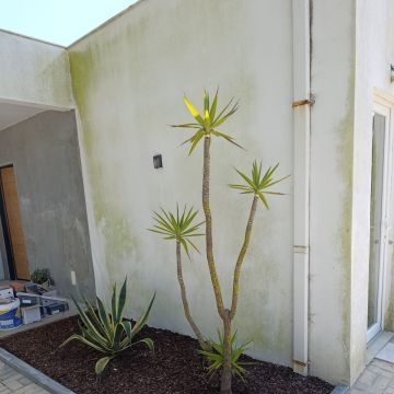 S&F Jardinagem 🌱🌿 - Torres Vedras - Paisajismo