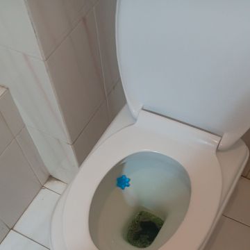 Isa - Silves - Deep or Spring Cleaning