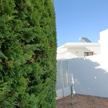 S&F Jardinagem 🌱🌿 - Torres Vedras - Colocación de rocas