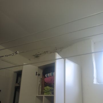 Edna Pires - Amadora - Limpeza de Propriedade