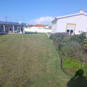 S&F Jardinagem 🌱🌿 - Torres Vedras - Cortar y podar el césped