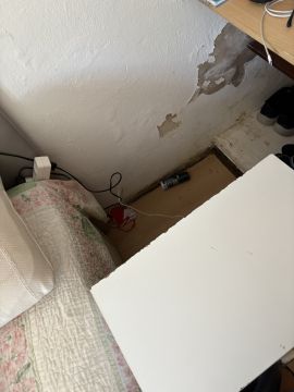 BarrosCleaning - Lagoa - Domestic Work