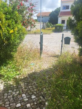 Tree Trimmer - Home Improvements