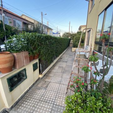 Terra e Folha Jardinagem - Loures - Shrub Removal