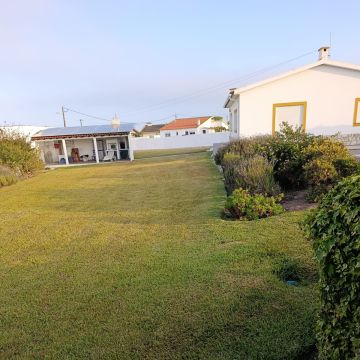 S&F Jardinagem 🌱🌿 - Torres Vedras - Trituración y eliminación de tocones