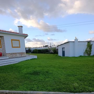 S&F Jardinagem 🌱🌿 - Torres Vedras - Deshierbo