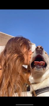 Hotel e Creche para Animais