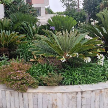 Dom Jardinagem - Loures - Corte e Aparação de Relvado