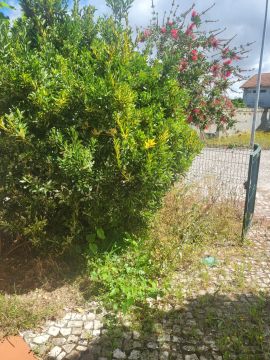 Lawncare