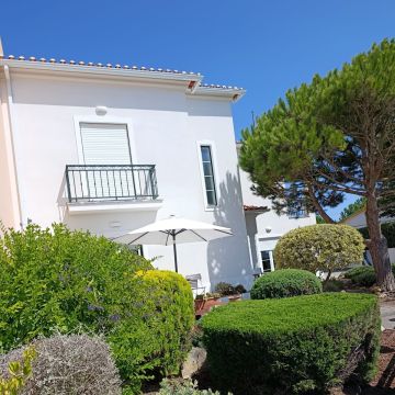 S&F Jardinagem 🌱🌿 - Torres Vedras - Servicios de invernadero