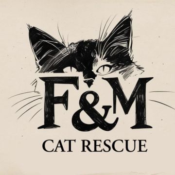 F&M CAT RESCUE - Sintra - Haustierpflege