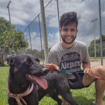 Wesley Dalpra - Almada - Katzensitter