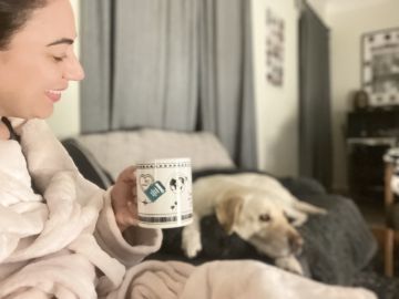 Hotel e Creche para Animais