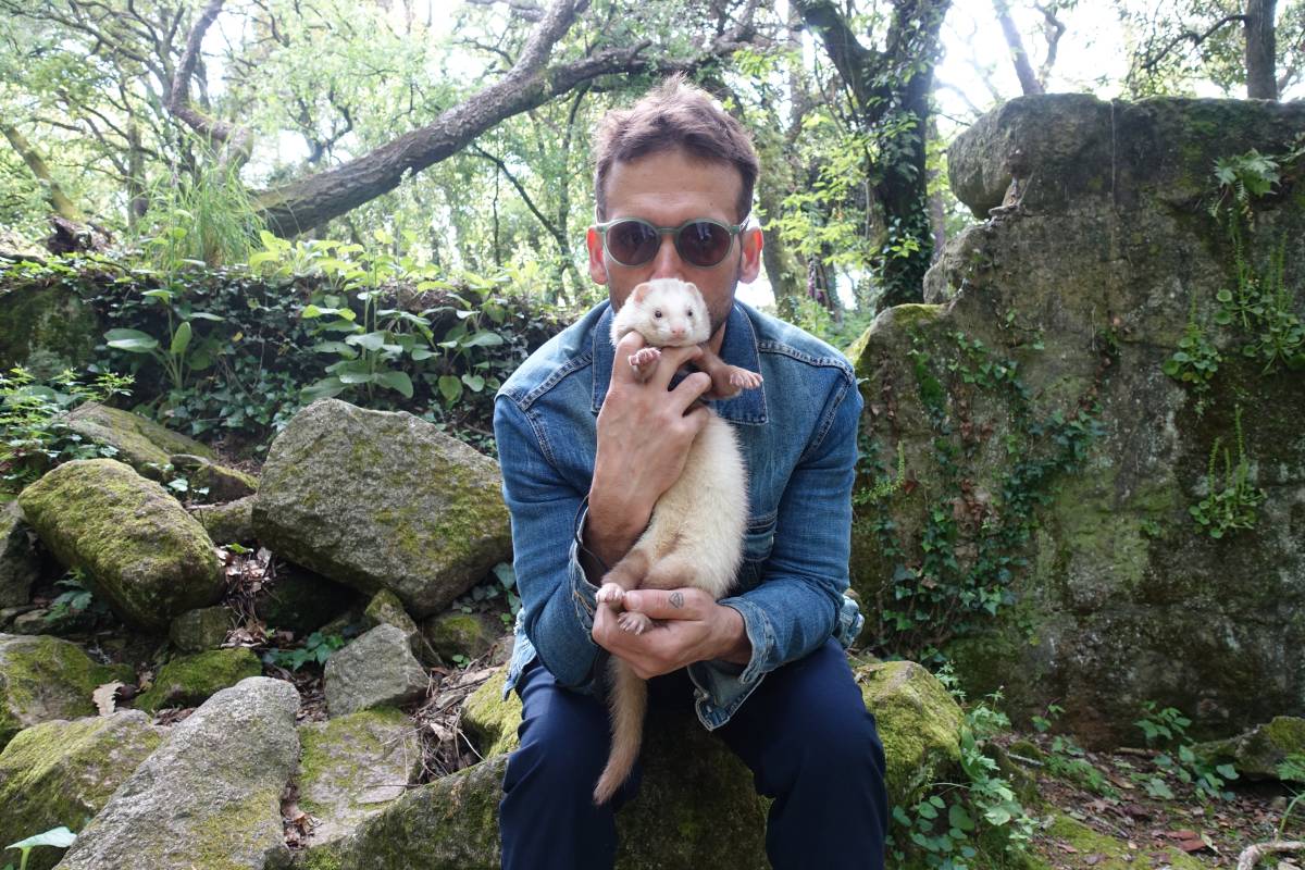 Antônio Junior Pet Lover - Porto - Pet Sitting