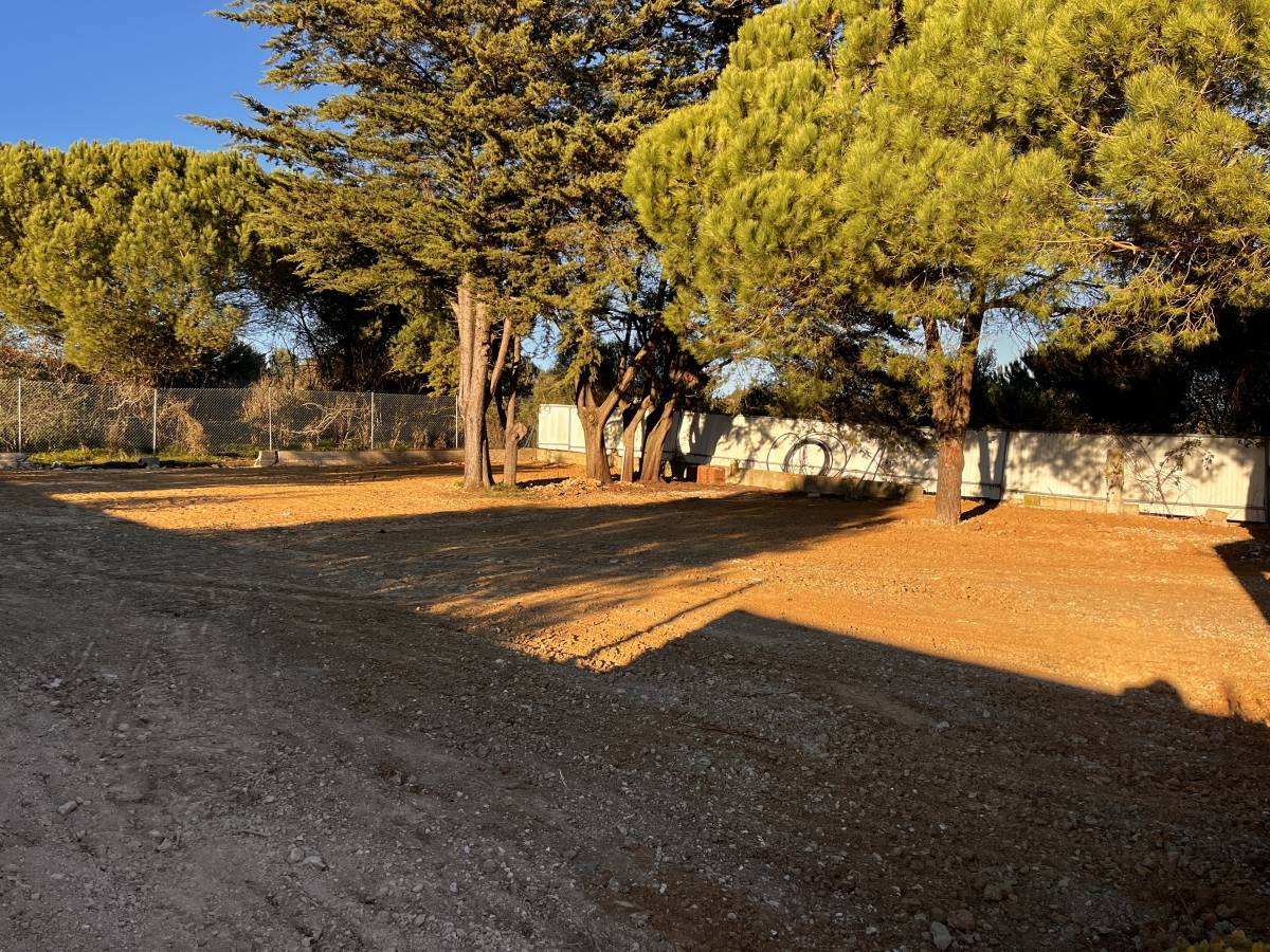 Limpieza de terrenos