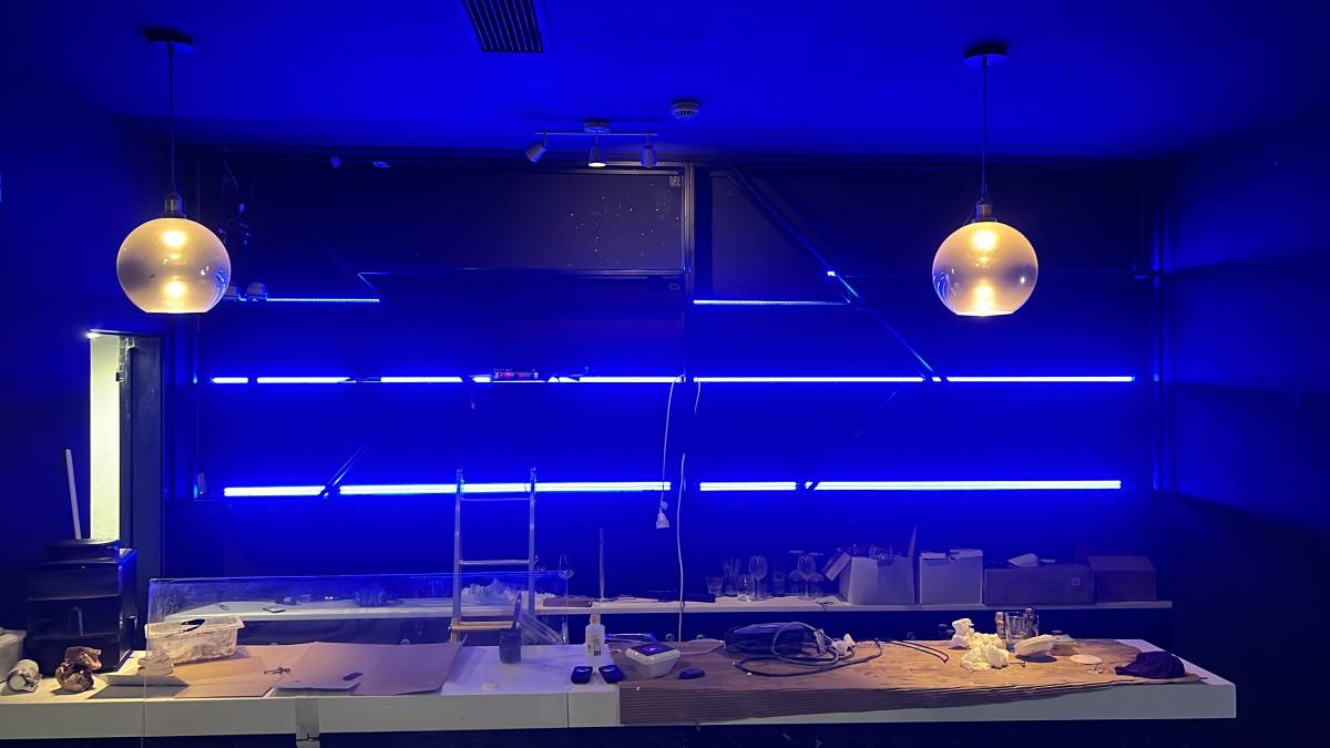 Yuri - Amadora - Electrical and Wiring Issues