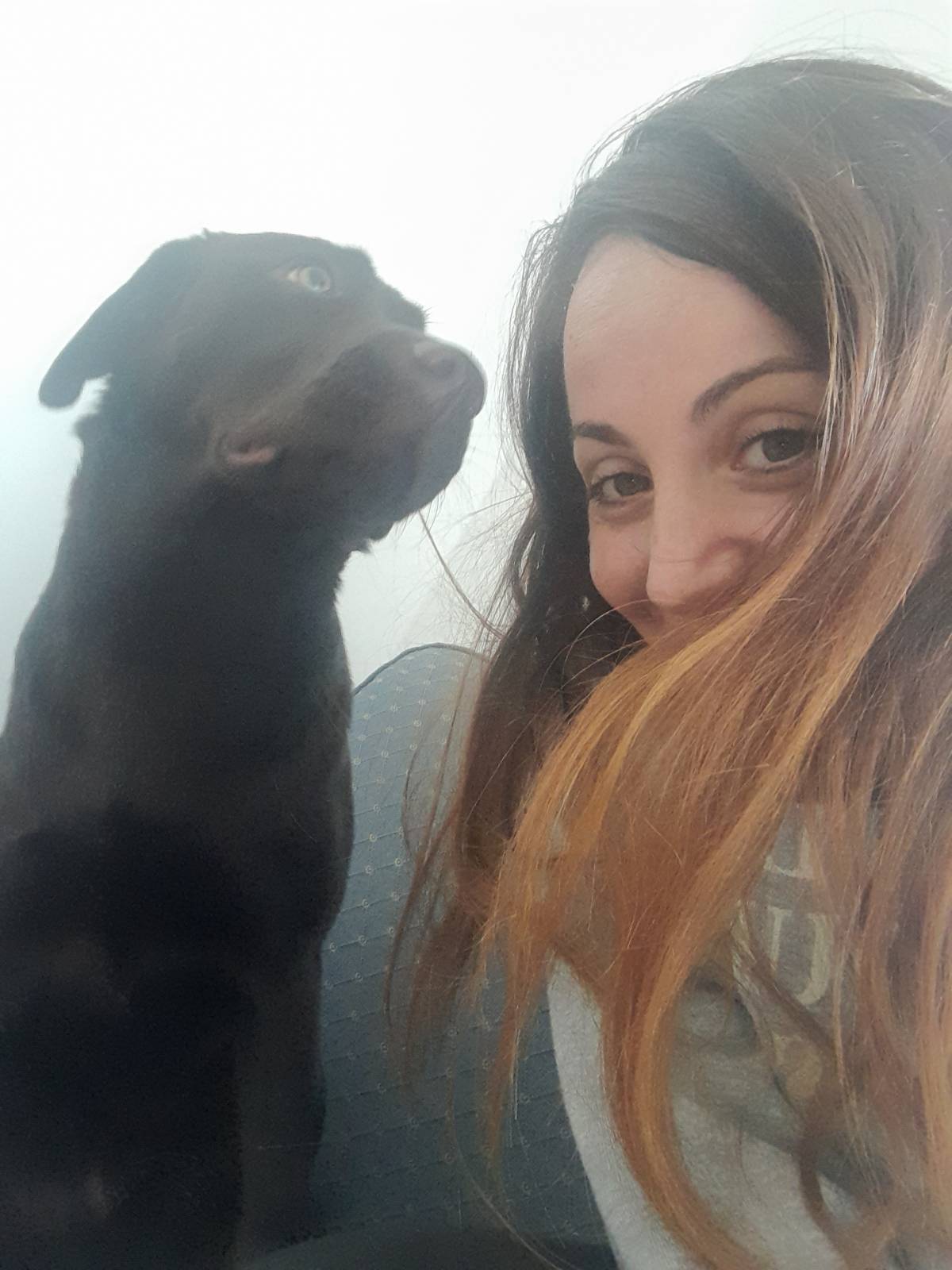 Masha - Oeiras - Katzensitter