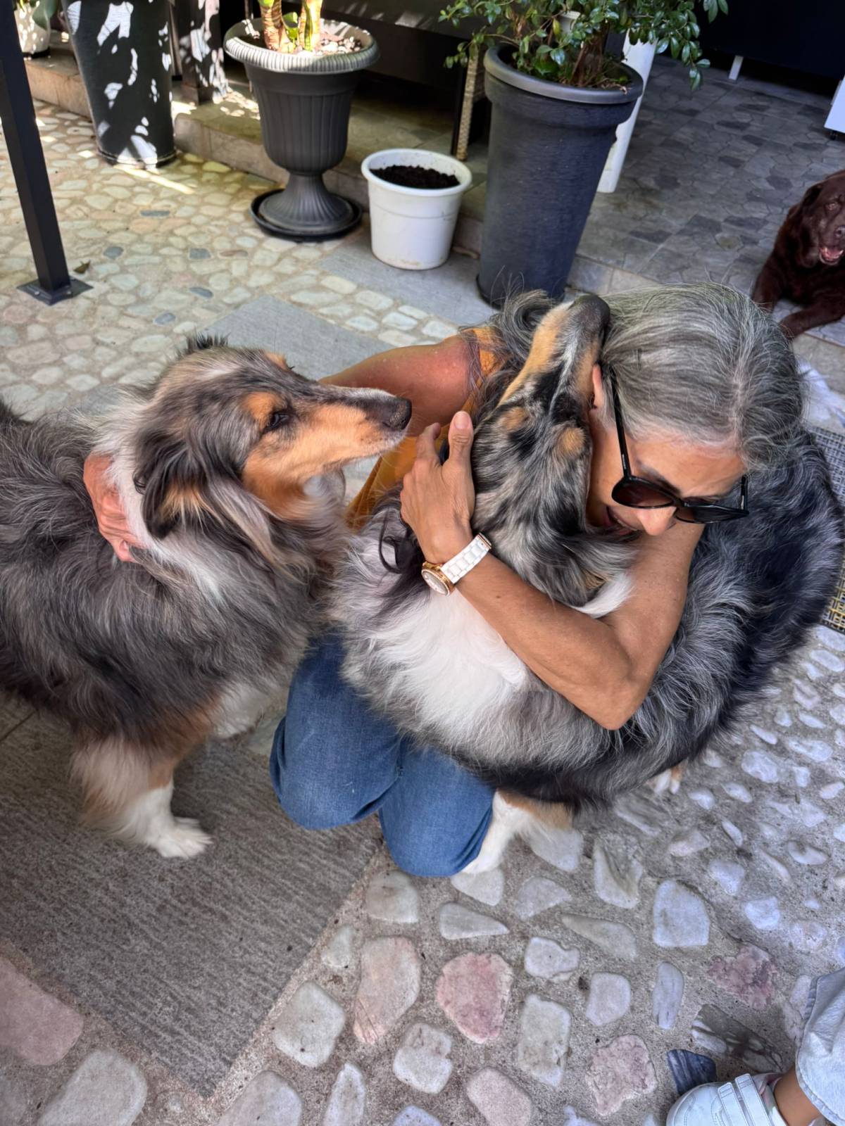 A Avó Cuida - Almada - Hundeausführung