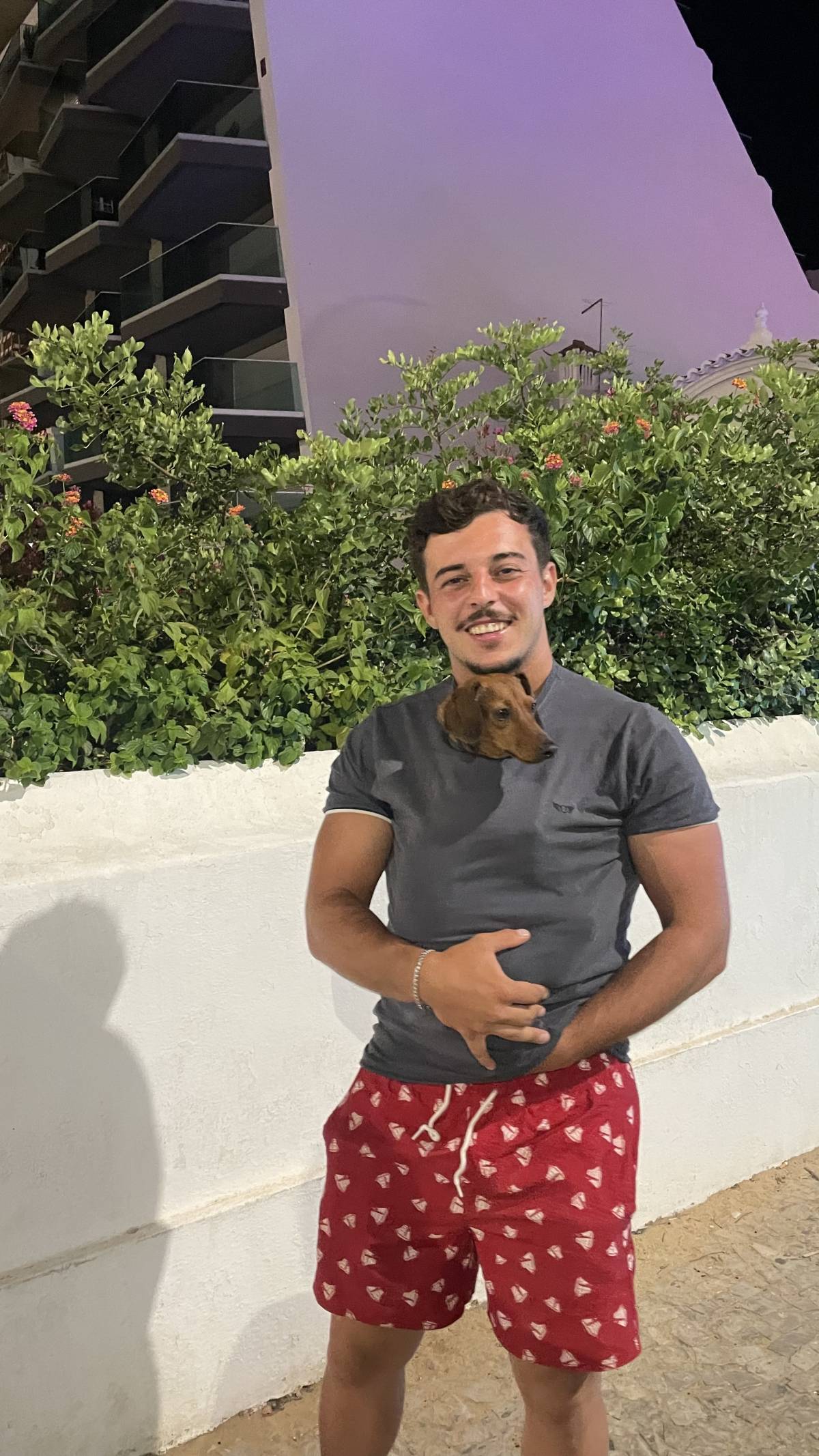 Diogo Silva - Lisboa - Hundeausführung