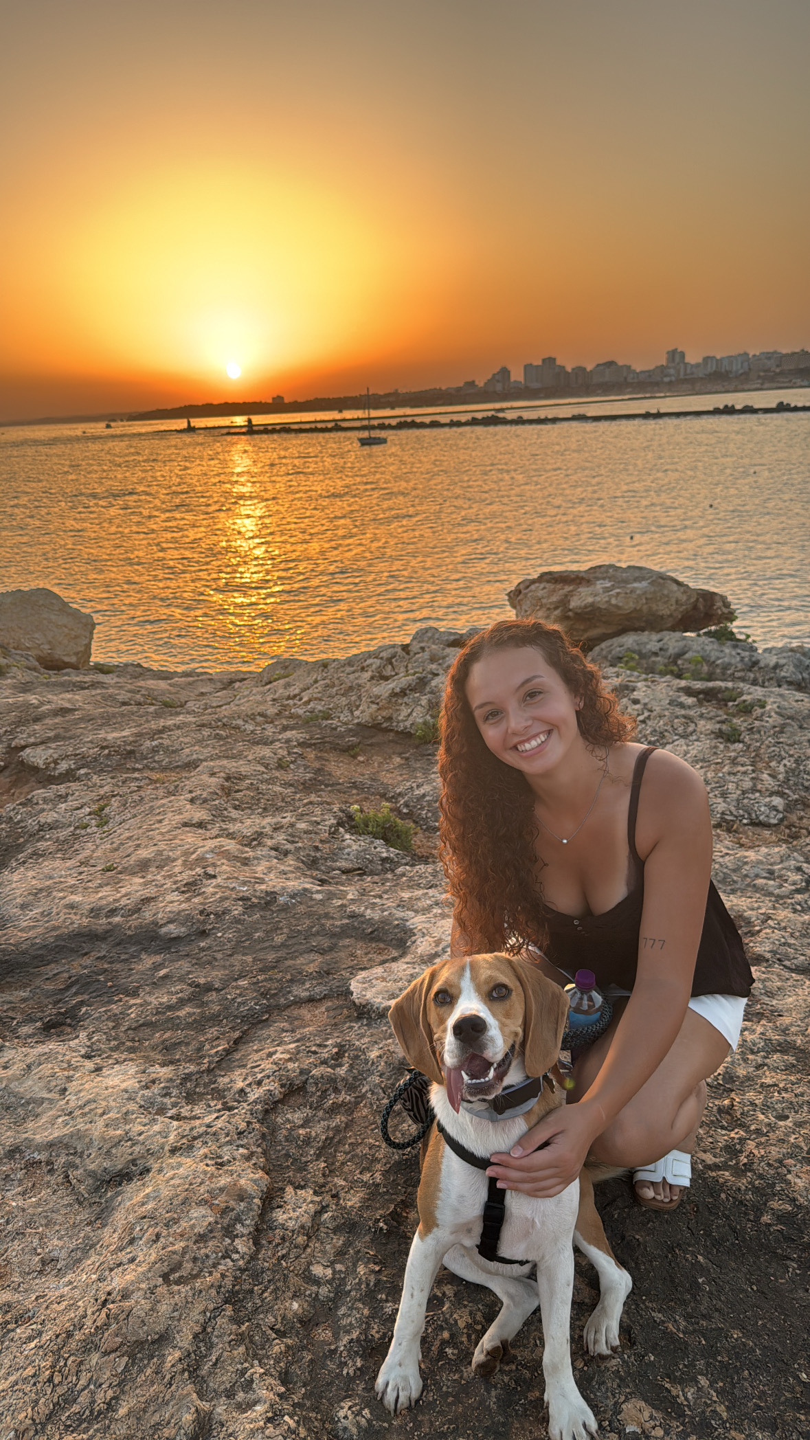 Lara Vieira Pet Sitter - Portimão - Pet Sitting e Pet Walking