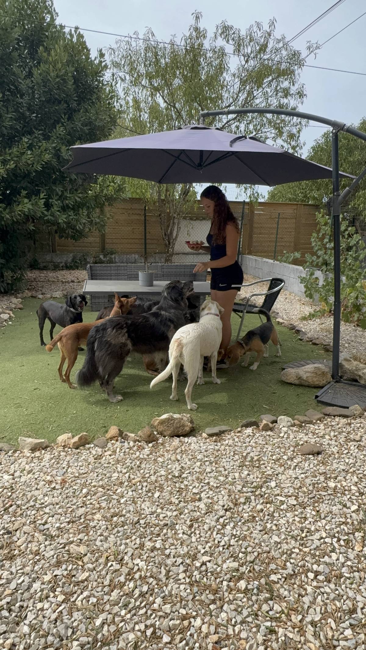 Lara Vieira Pet Sitter - Portimão - Dog Sitting