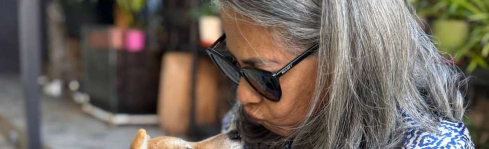 A Avó Cuida - Almada - Katzenpension