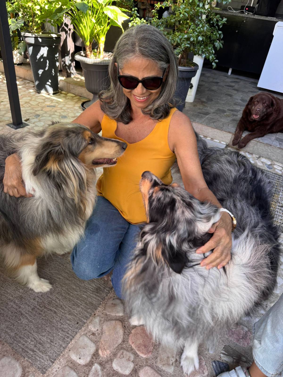 A Avó Cuida - Almada - Pet Sitting