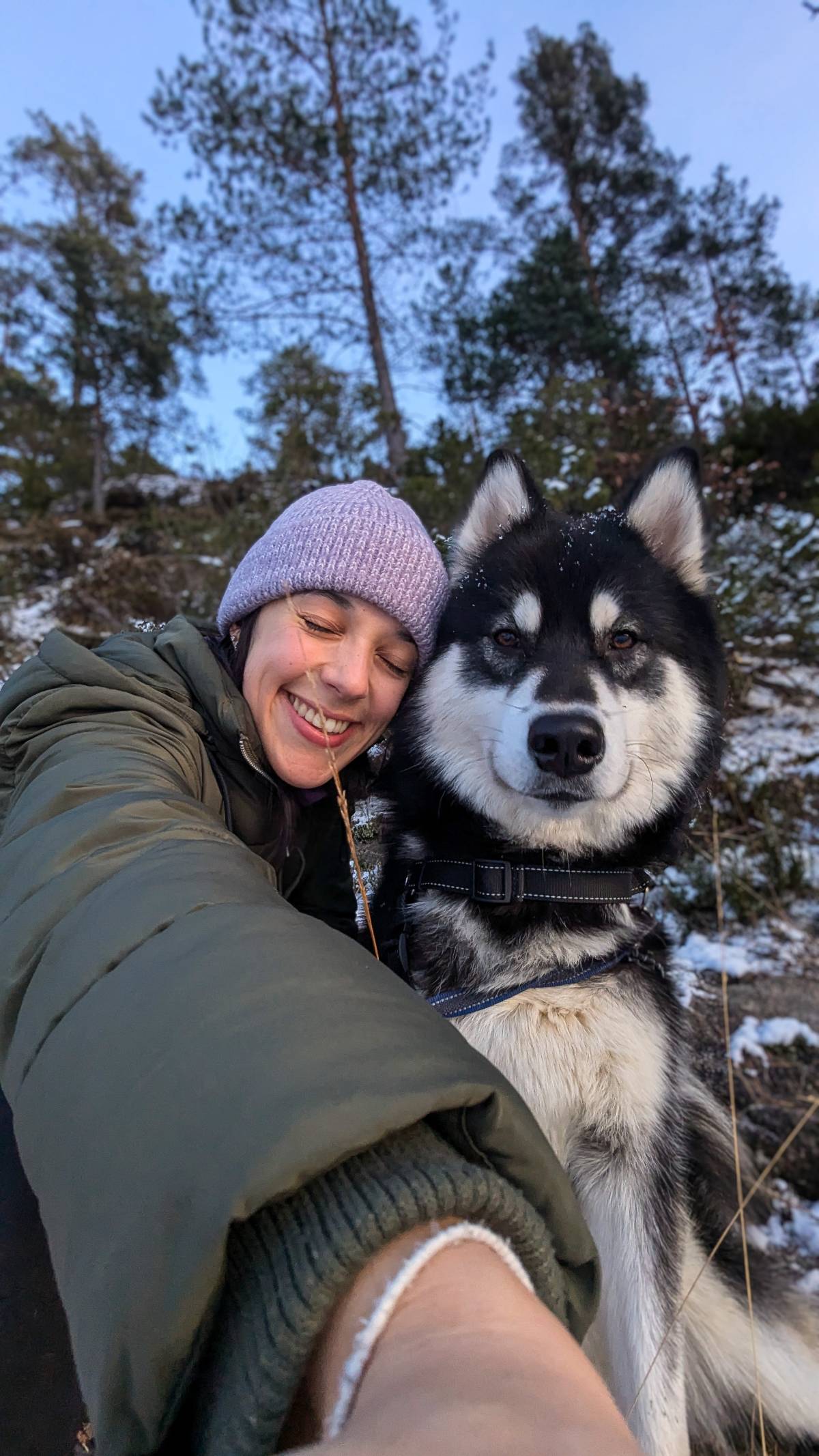 Beatriz Petsitting e Dogwalking - Sintra - Pet Sitting